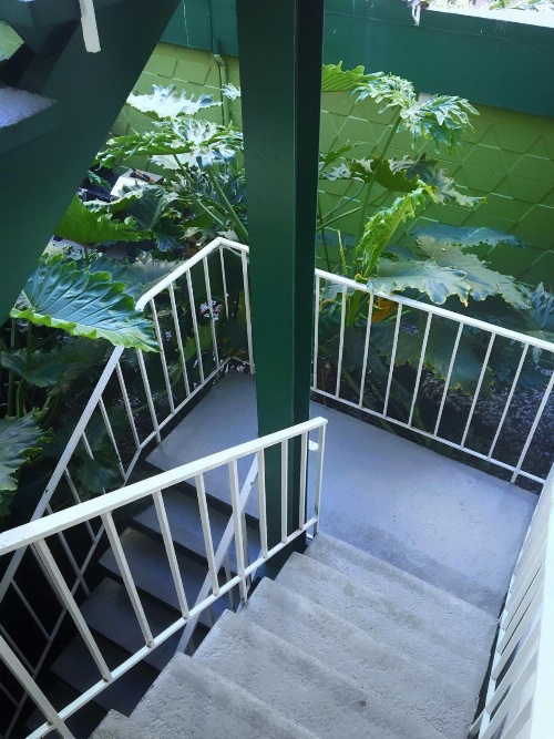 Oasis Inn image 1
